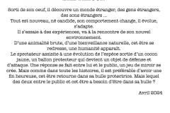 Sans-titre-1