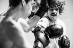 ©Alexandre BERTRAND.14