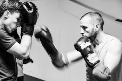 ©Alexandre BERTRAND.18