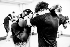 ©Alexandre BERTRAND.5