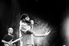 2025-Foreztival-KEMMLER-©Alexandre-BERTRAND-9