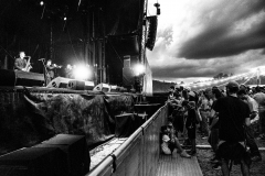 2025-Foreztival-PROLETER-swing-band-©Alexandre-BERTRAND-13